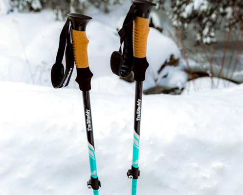 TrailBuddy Trekking Poles